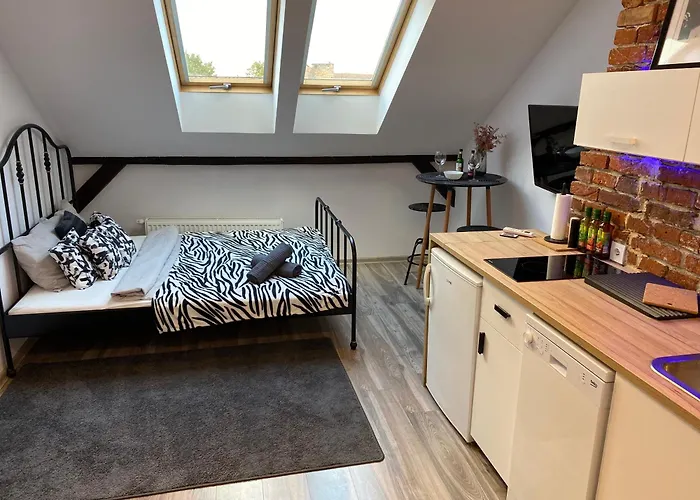 High Five * 크라쿠프